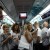 Inside of dubai metro train Inside of dubai metro train