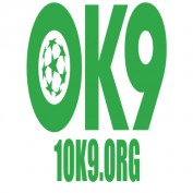 ok9 org profile image