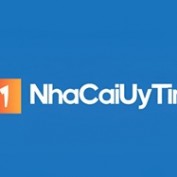 nhacaiuytinprocloud profile image