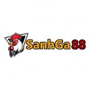 sanhga88xyz profile image