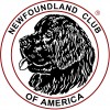 newfclub profile image