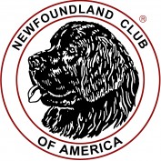 newfclub profile image