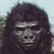 vamoravek profile image