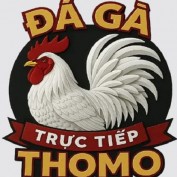 dagatructiepkam profile image
