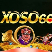 xoso66st profile image