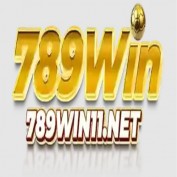 win789vn0 profile image