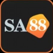 Sa88ok profile image