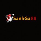 sanhga88com profile image