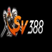 sv388vcx profile image