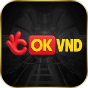 okvndcloud profile image