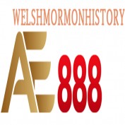 ae888welsh profile image