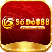 sodo888cyou profile image