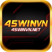 net45winvn profile image