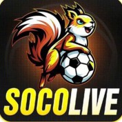 socolive10cc profile image
