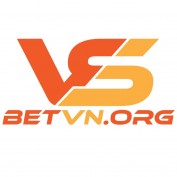 vsbetvnorg profile image