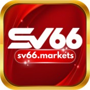 sv66markets profile image