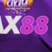 ax88store profile image