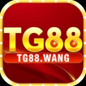 tg88wang profile image
