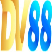 dv88comvn profile image