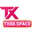 tx88space profile image