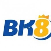 bk8nikeoutletstores profile image