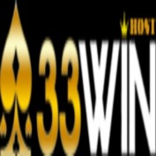 vn33winhost profile image