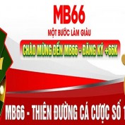 mb66partsvn profile image