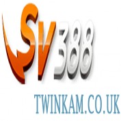 sv388twinkam profile image