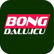 bongdaluicu profile image