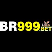 br999brcom profile image