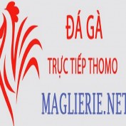 dagamaglierie profile image