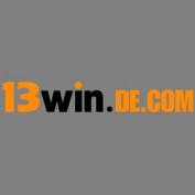 link13windecom profile image