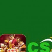 csjogocom11 profile image