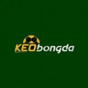 getindgeportals profile image