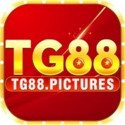 tg88pictures profile image