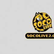 SocoliveCv profile image