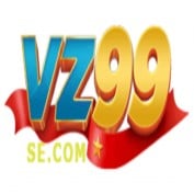 vz99se profile image