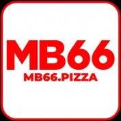 mb66pizza profile image