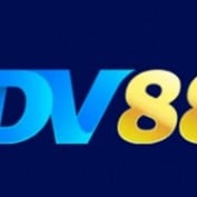 dv88name profile image