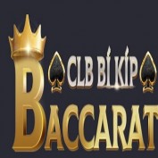 baccaratmotorcycles profile image