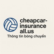 cheapcarinsuranceallus profile image