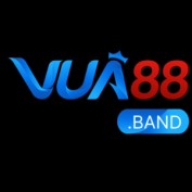 vua88band profile image