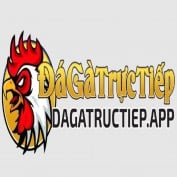 dagatructiepapp profile image