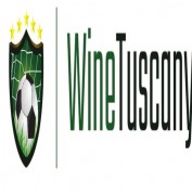winetastingtoursintuscany profile image