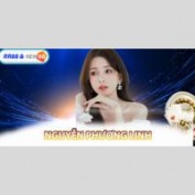 nguyenphuonglinh profile image