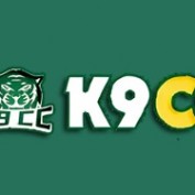 k9cctech profile image