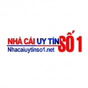 nhacaiuytinso1n profile image