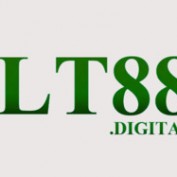 lt88digital profile image