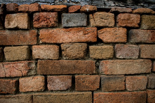 A close up of a brick wall, photo by Mila Vasileva on Unsplash