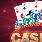 tylecacuocvipapp profile image